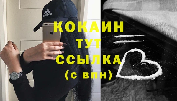 спиды Белокуриха